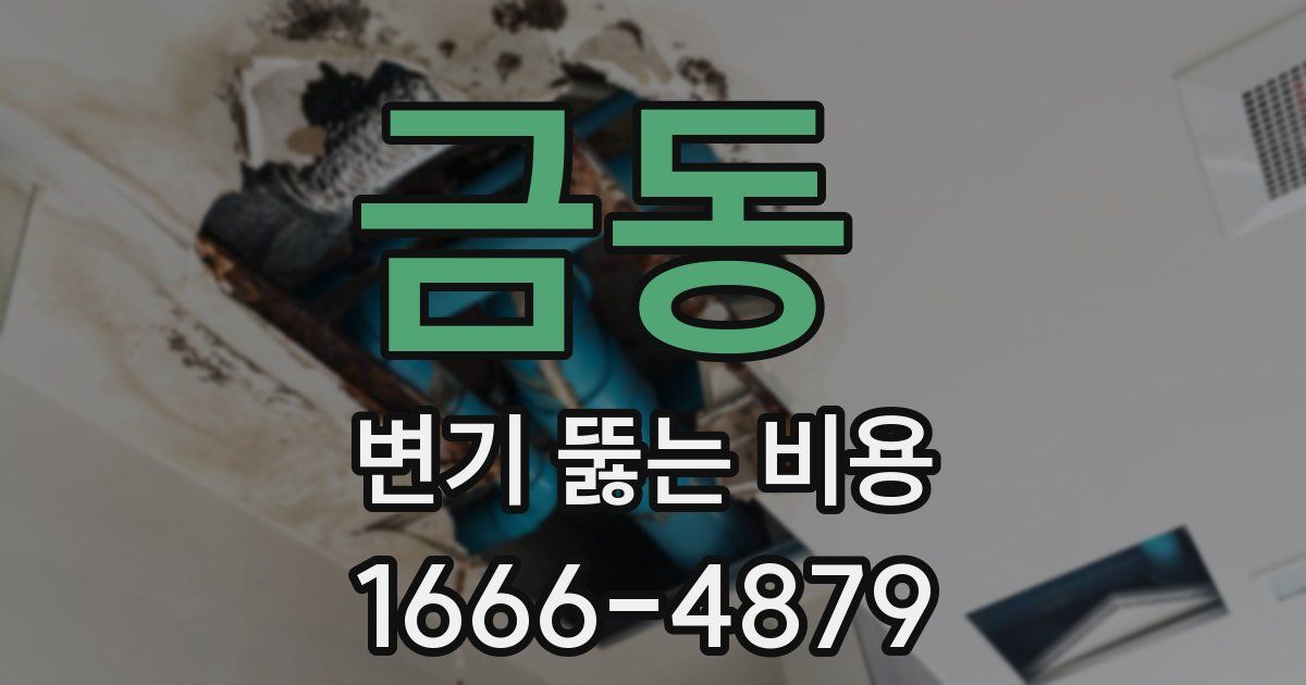 금동 변기 뚫는 비용