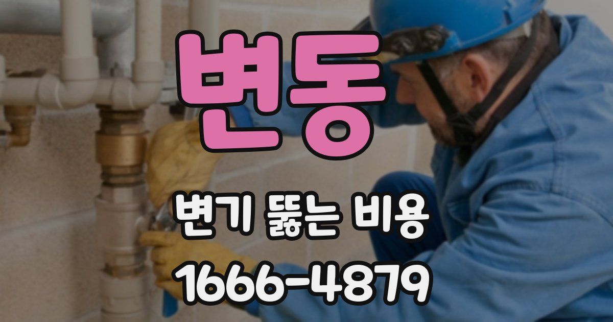 변동 변기 뚫는 비용