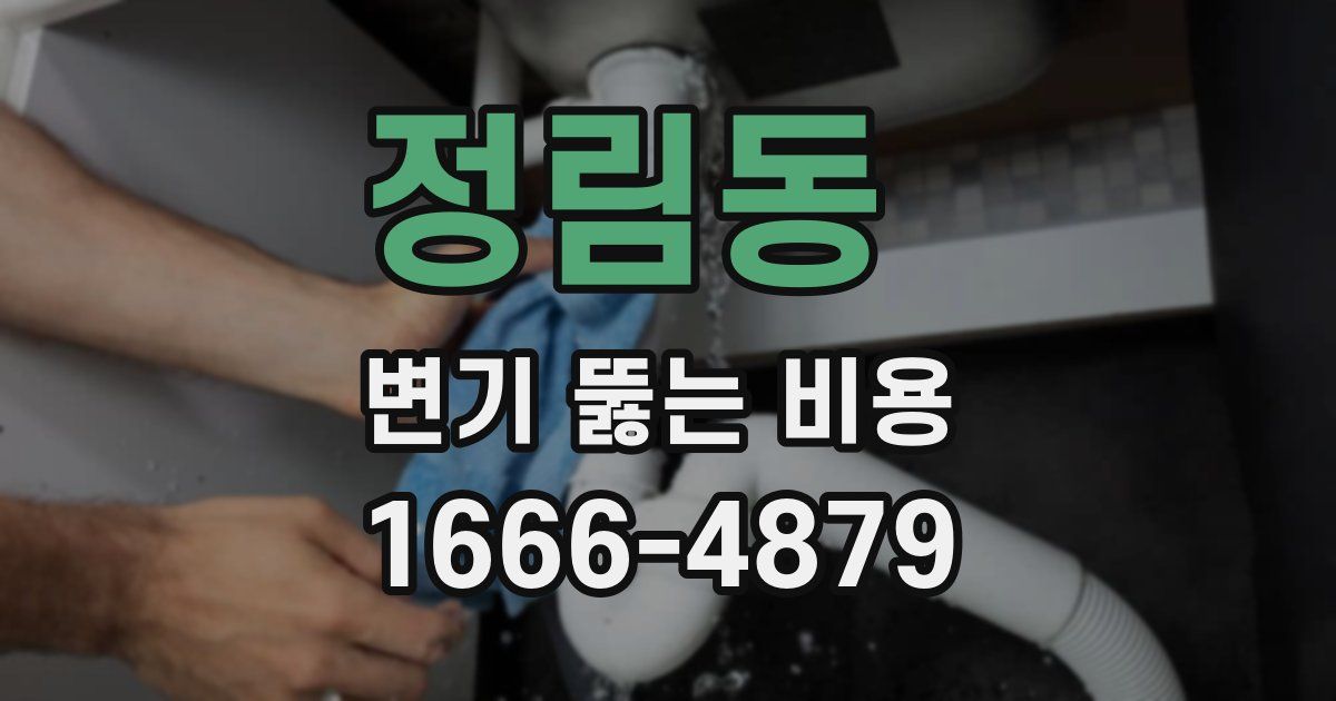 정림동 변기 뚫는 비용
