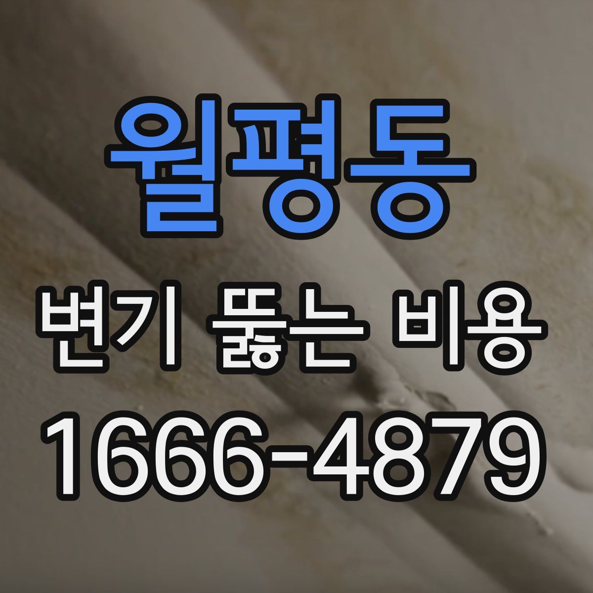 월평동 변기 뚫는 비용