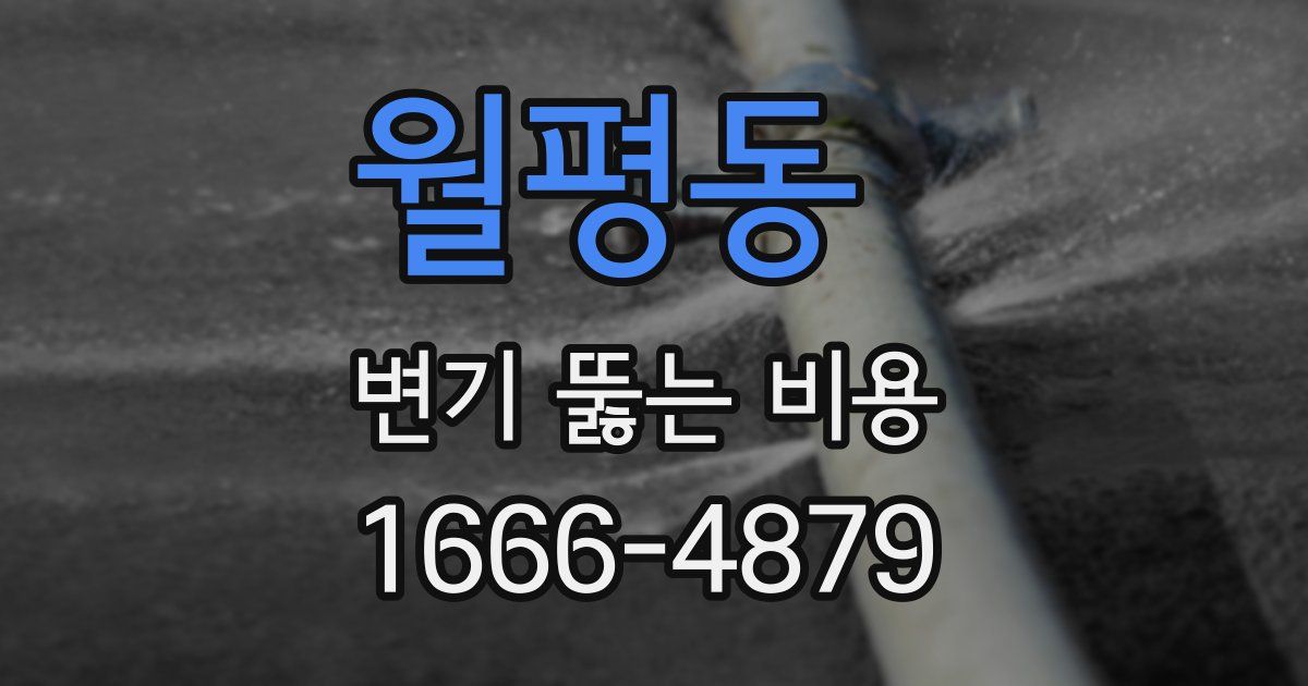 월평동 변기 뚫는 비용
