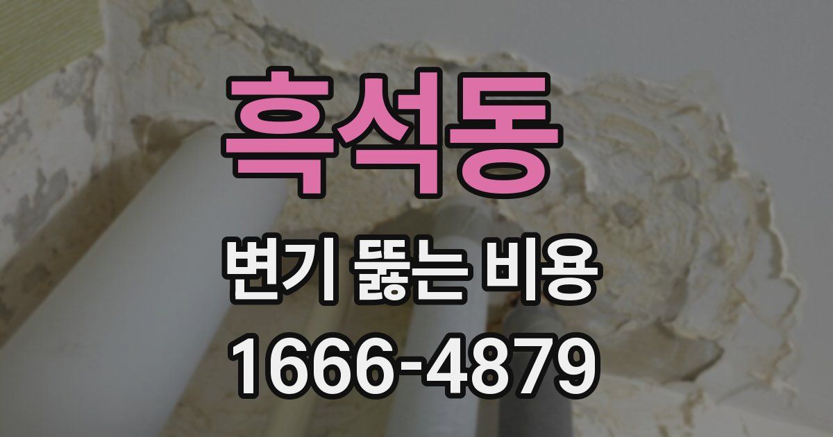 흑석동 변기 뚫는 비용
