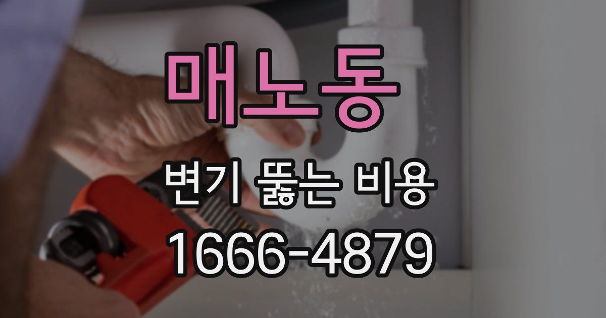매노동 변기 뚫는 비용