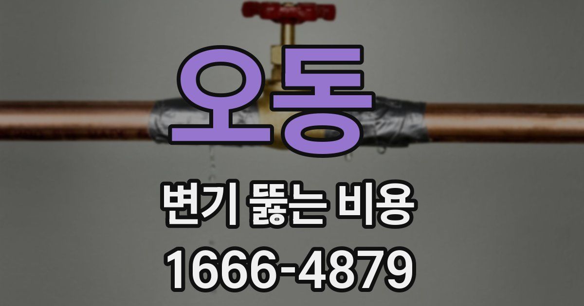 오동 변기 뚫는 비용