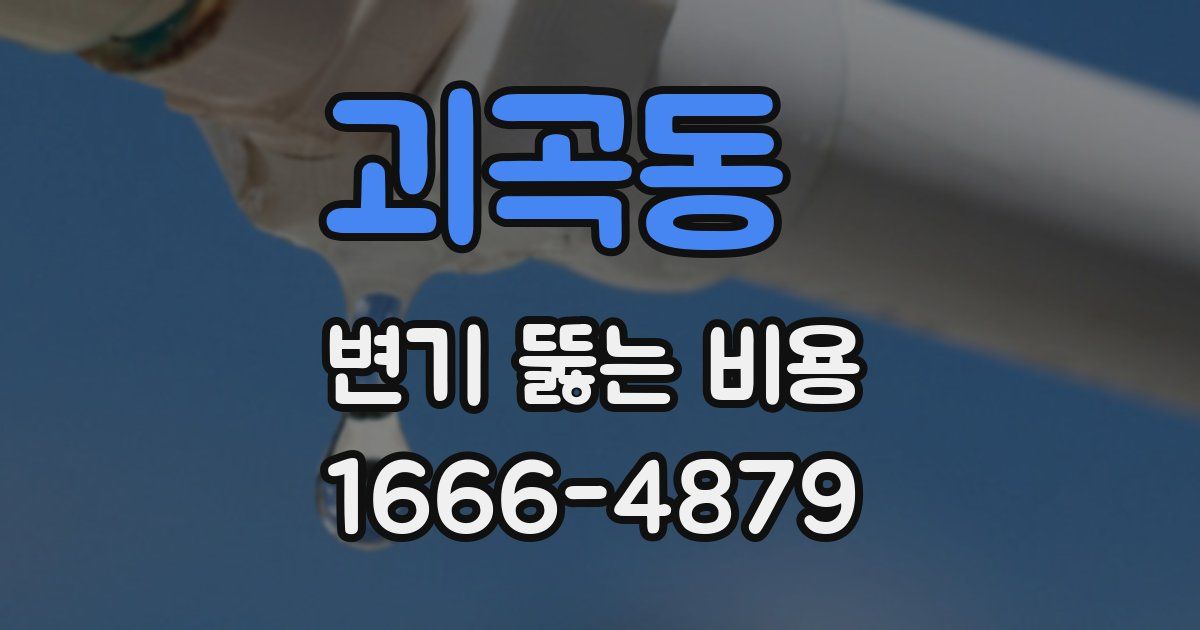 괴곡동 변기 뚫는 비용