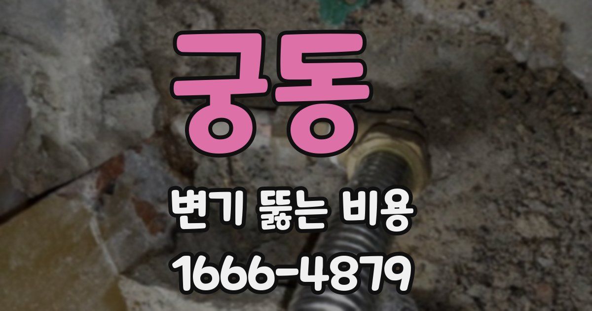궁동 변기 뚫는 비용