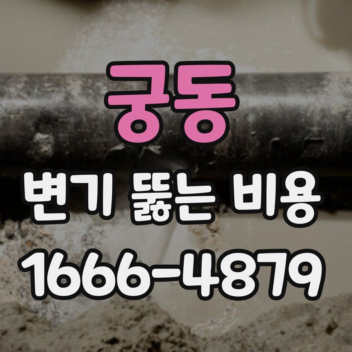 궁동 변기 뚫는 비용