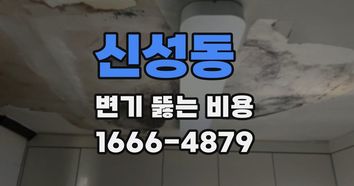 신성동 변기 뚫는 비용