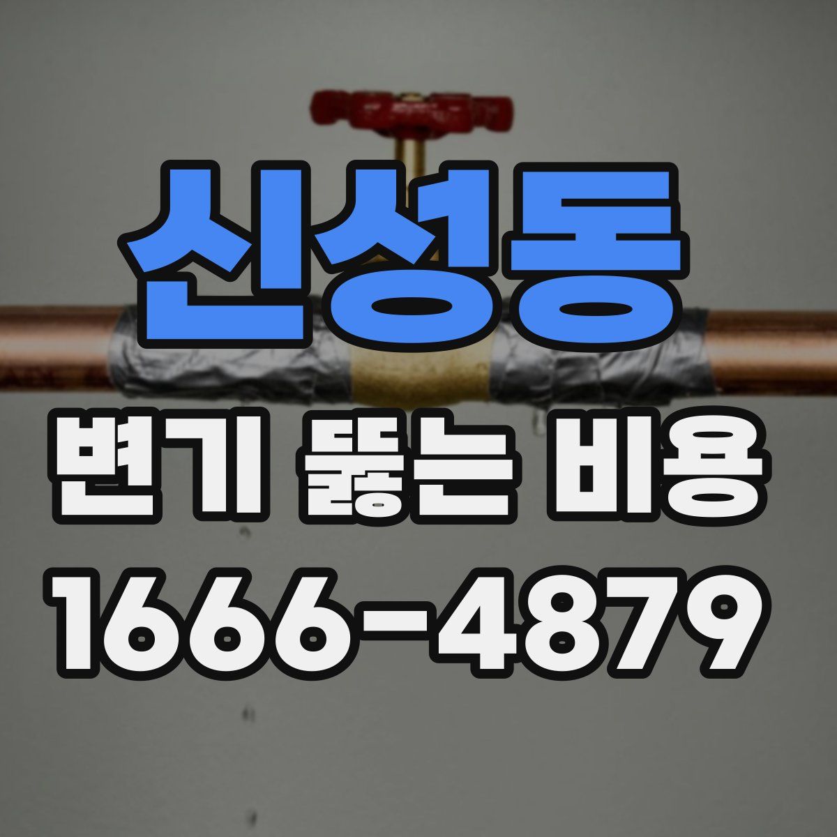 신성동 변기 뚫는 비용