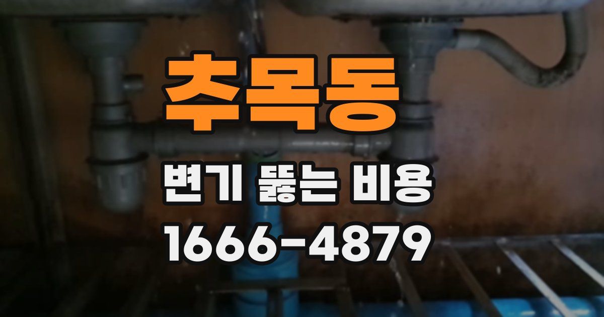 추목동 변기 뚫는 비용