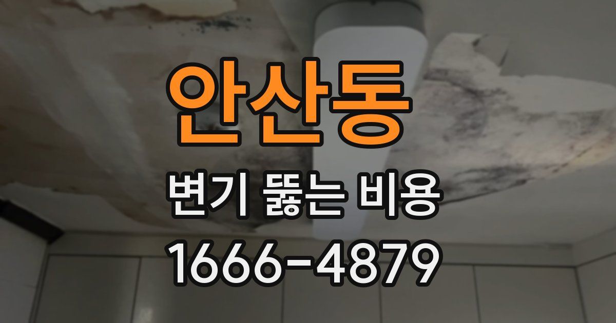 안산동 변기 뚫는 비용