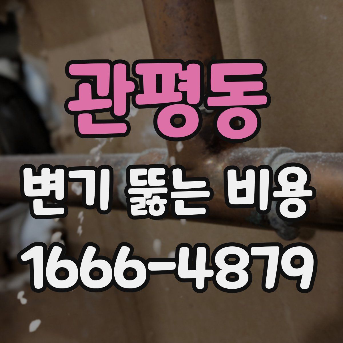 관평동 변기 뚫는 비용