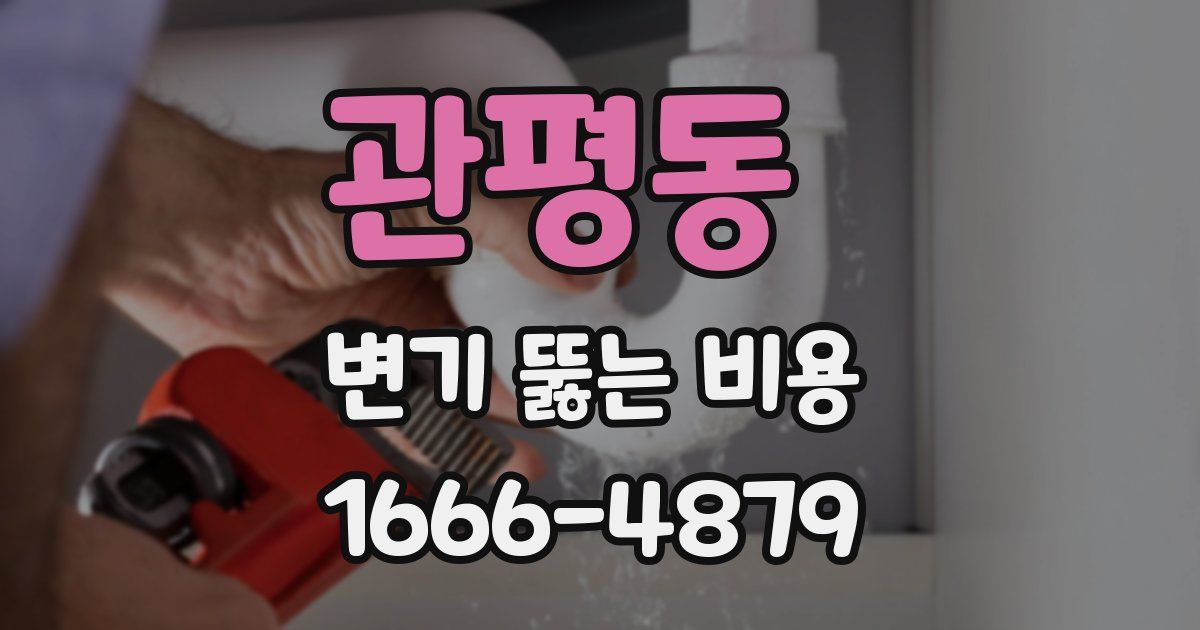 관평동 변기 뚫는 비용