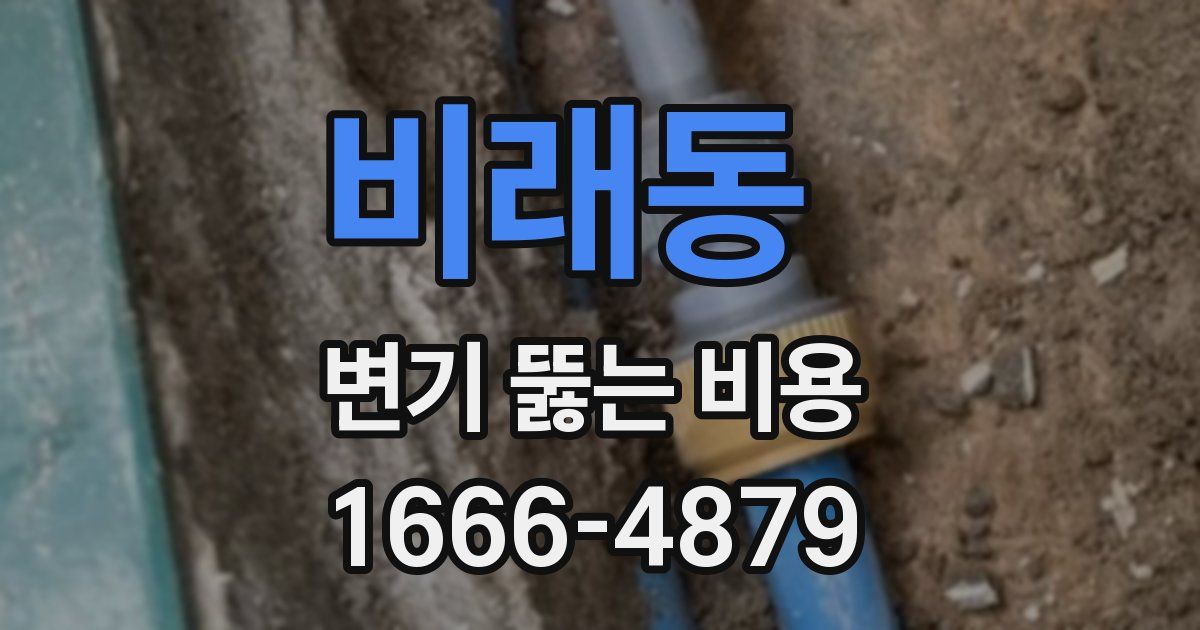 비래동 변기 뚫는 비용