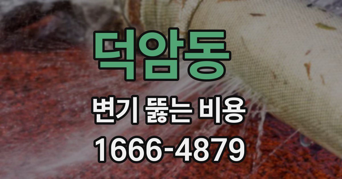 덕암동 변기 뚫는 비용