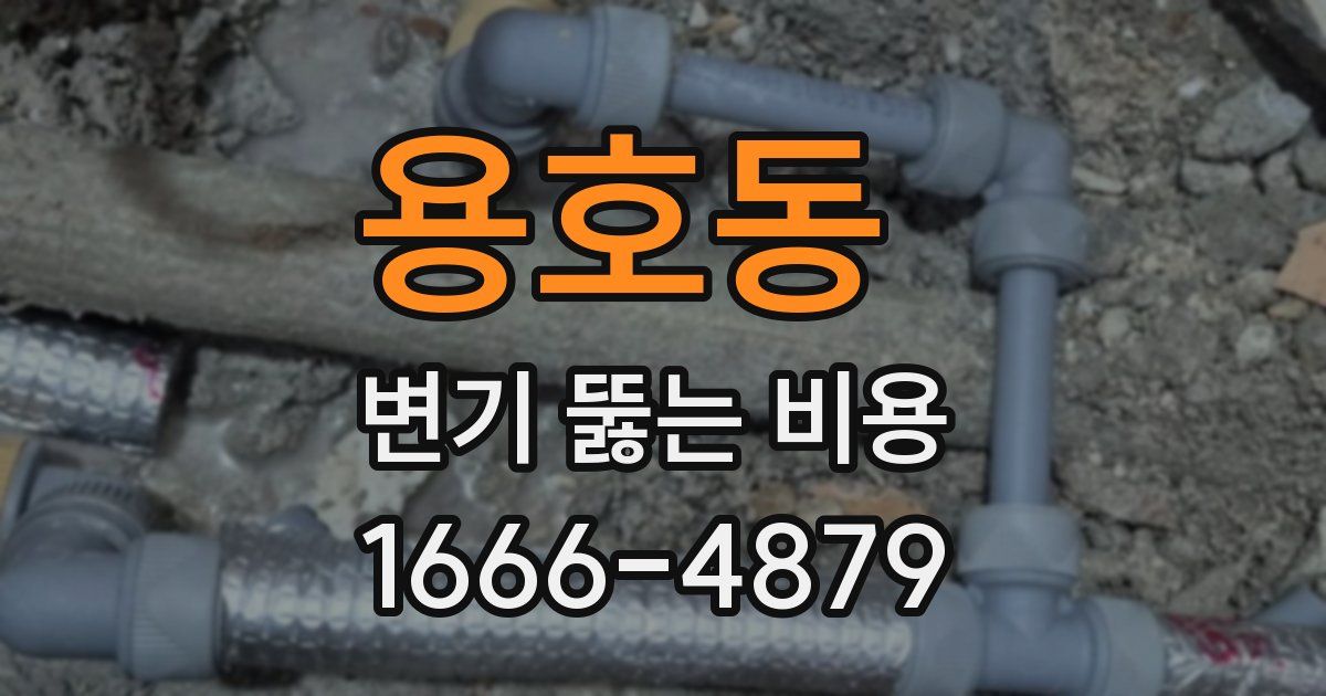용호동 변기 뚫는 비용
