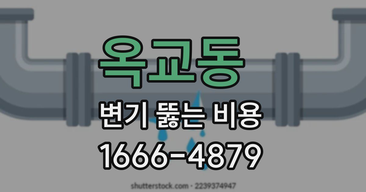 옥교동 변기 뚫는 비용
