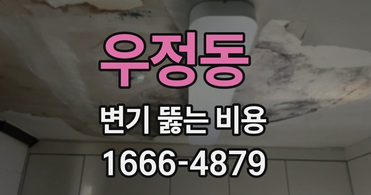 우정동 변기 뚫는 비용