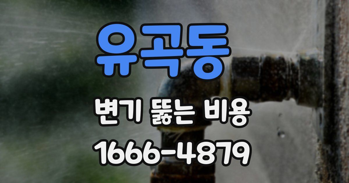 유곡동 변기 뚫는 비용