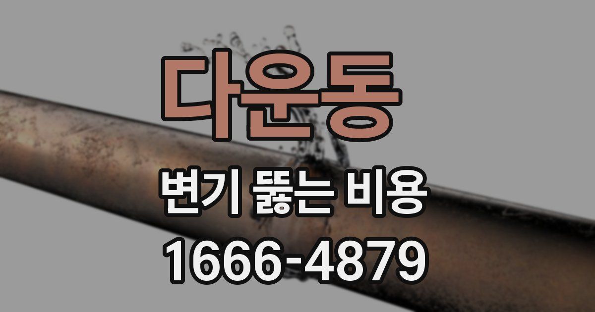 다운동 변기 뚫는 비용
