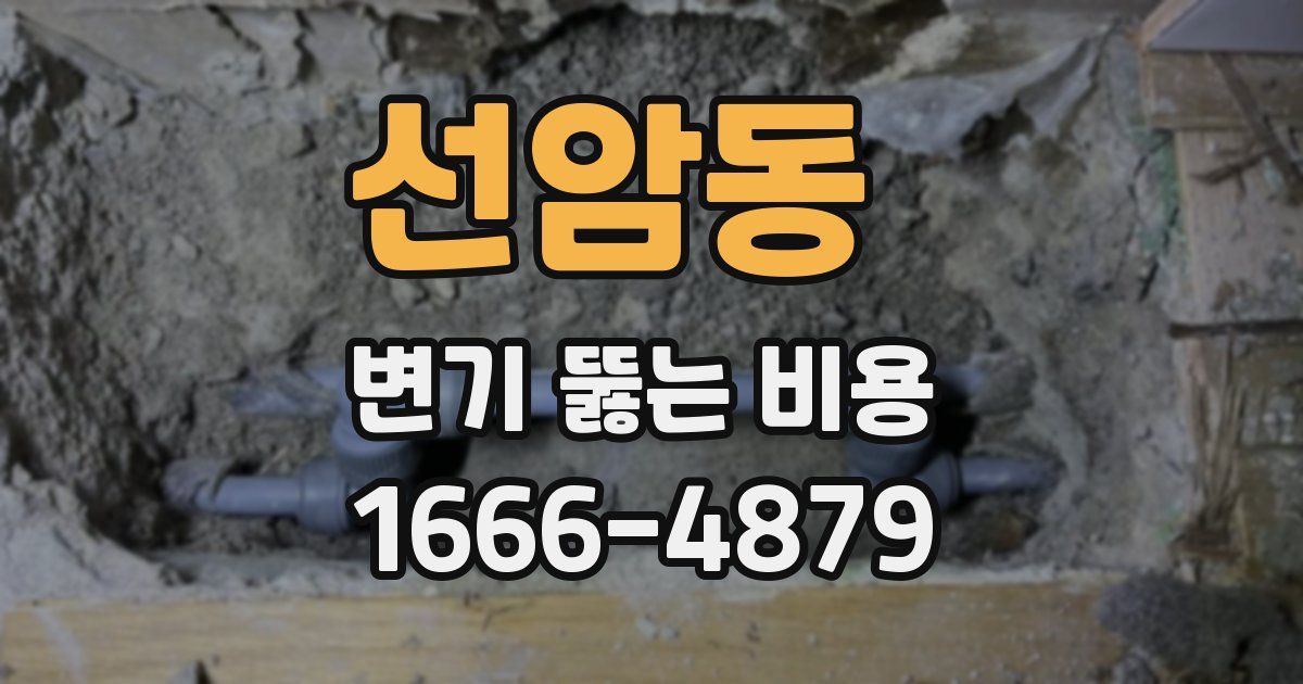선암동 변기 뚫는 비용