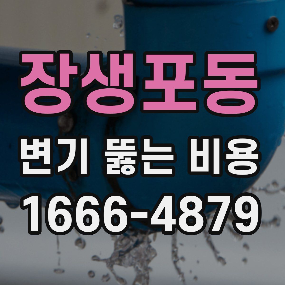 장생포동 변기 뚫는 비용