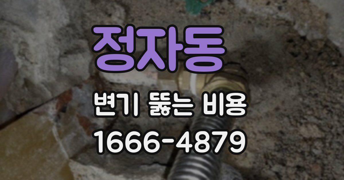 정자동 변기 뚫는 비용