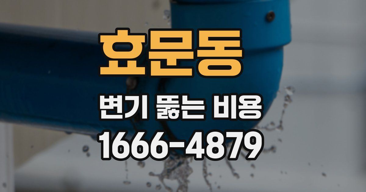 효문동 변기 뚫는 비용