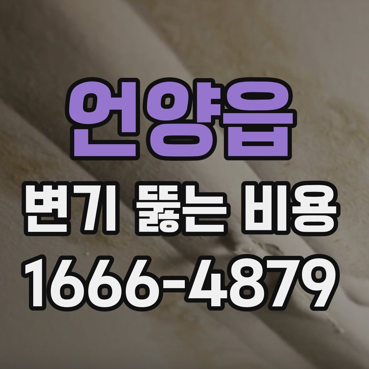언양읍 변기 뚫는 비용