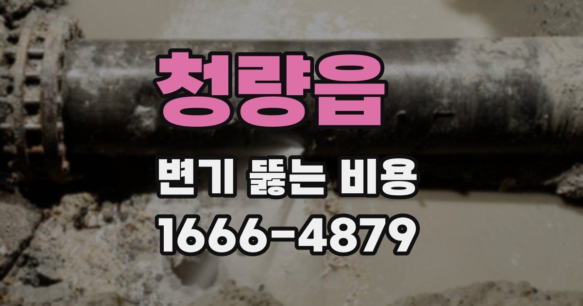 청량읍 변기 뚫는 비용