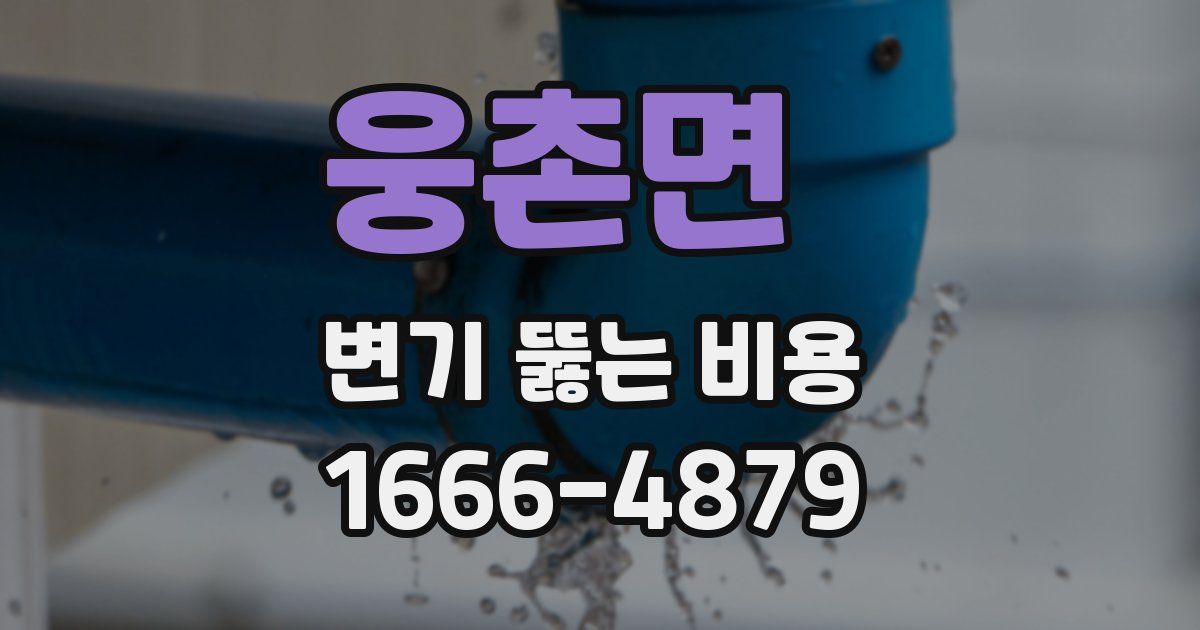웅촌면 변기 뚫는 비용