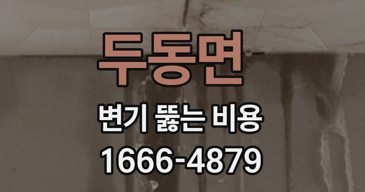 두동면 변기 뚫는 비용