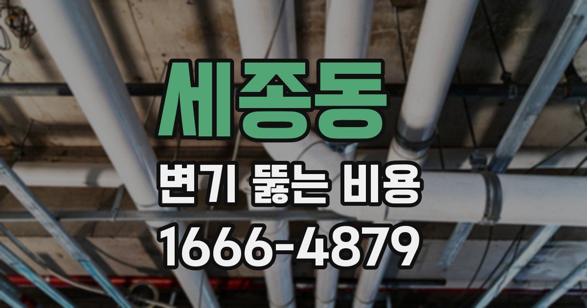 세종동 변기 뚫는 비용