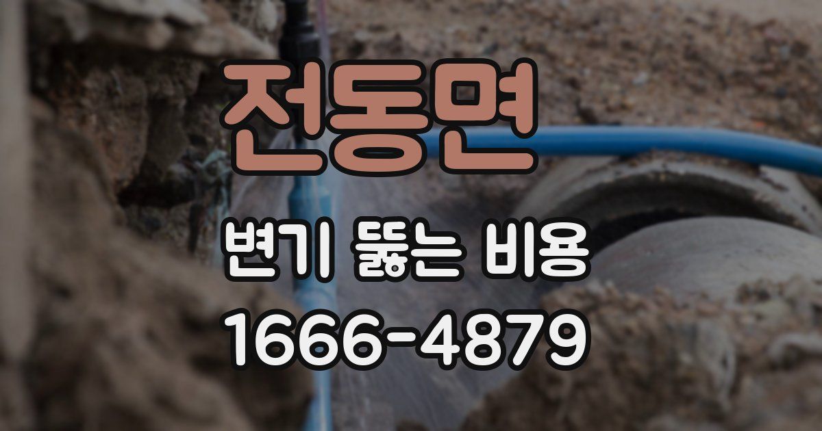 전동면 변기 뚫는 비용
