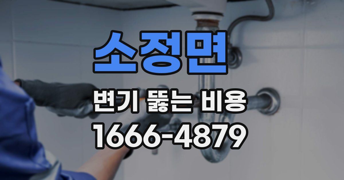 소정면 변기 뚫는 비용