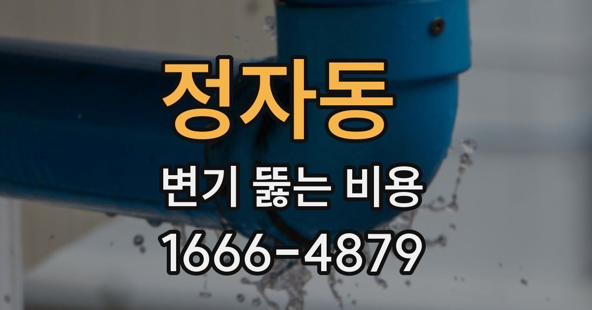 정자동 변기 뚫는 비용