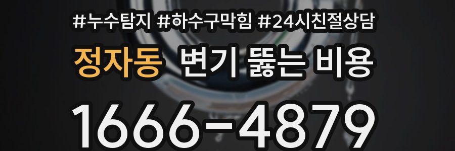 정자동 변기 뚫는 비용