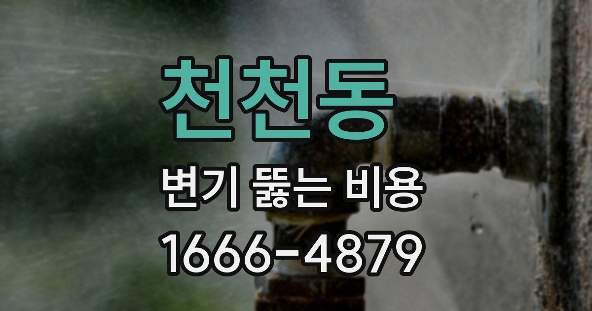 천천동 변기 뚫는 비용