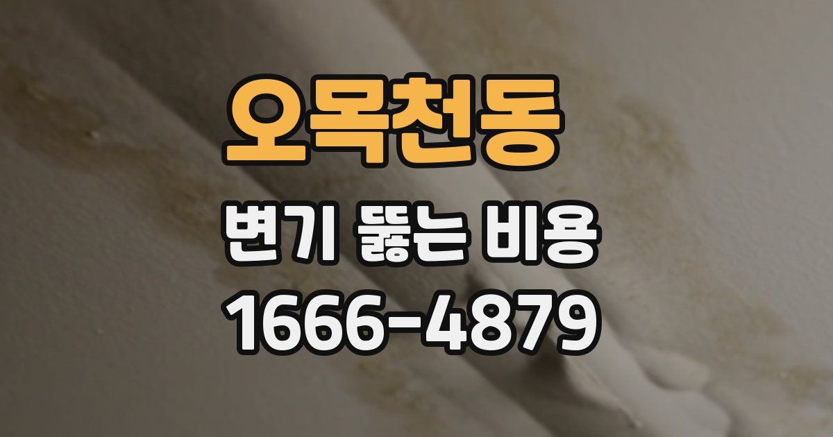 오목천동 변기 뚫는 비용