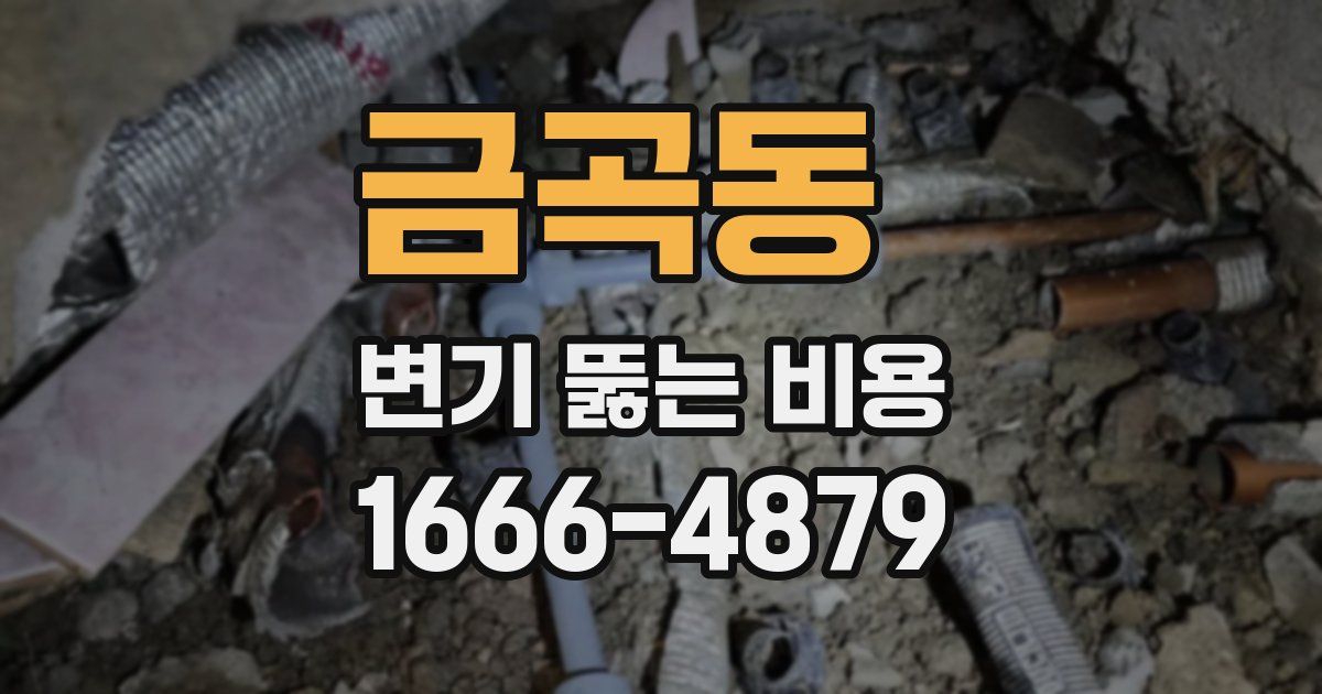 금곡동 변기 뚫는 비용