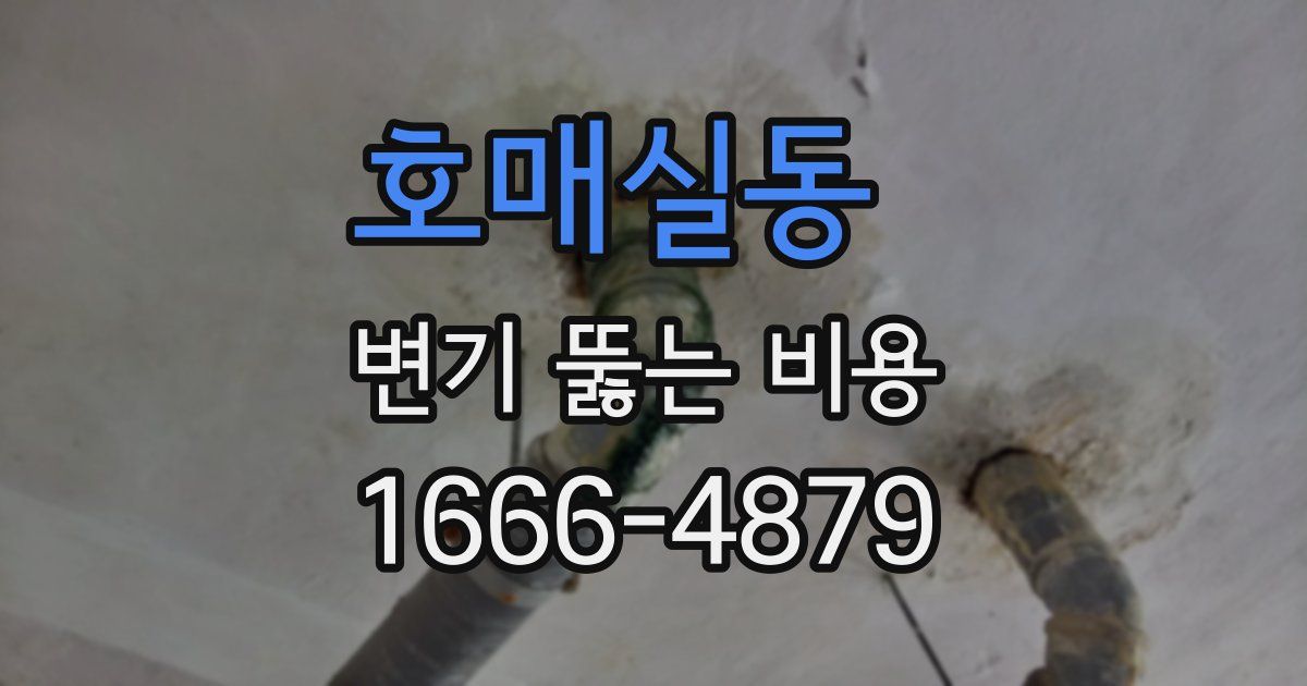 호매실동 변기 뚫는 비용