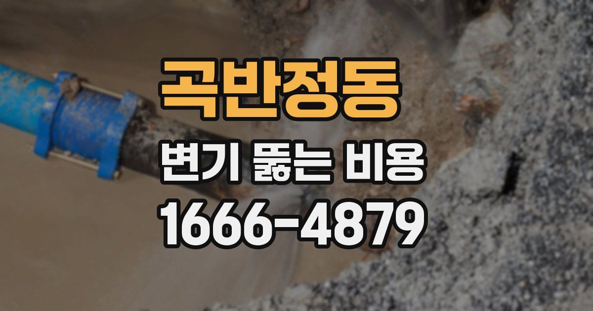 곡반정동 변기 뚫는 비용