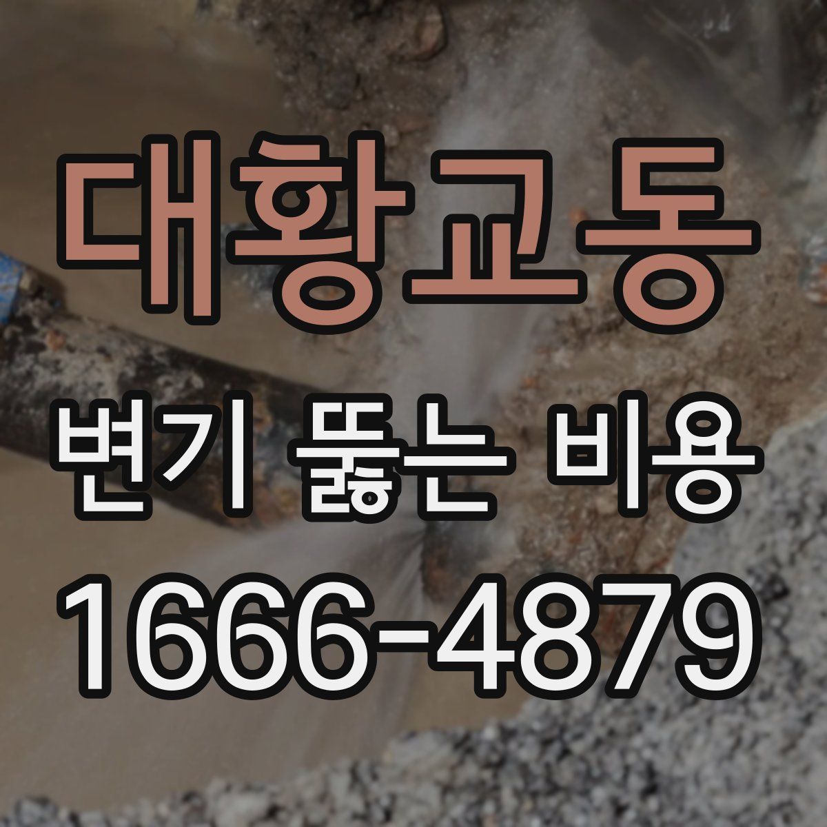 대황교동 변기 뚫는 비용