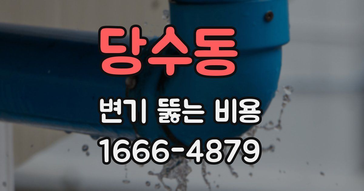 당수동 변기 뚫는 비용