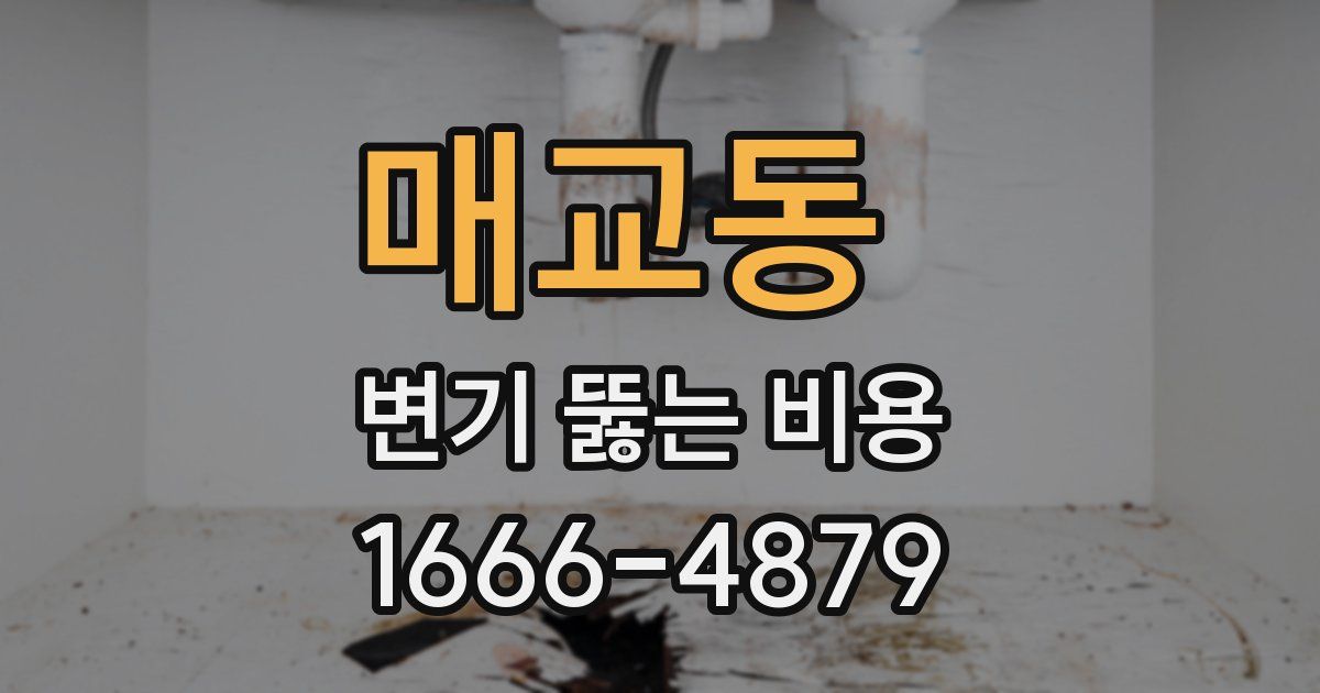 매교동 변기 뚫는 비용