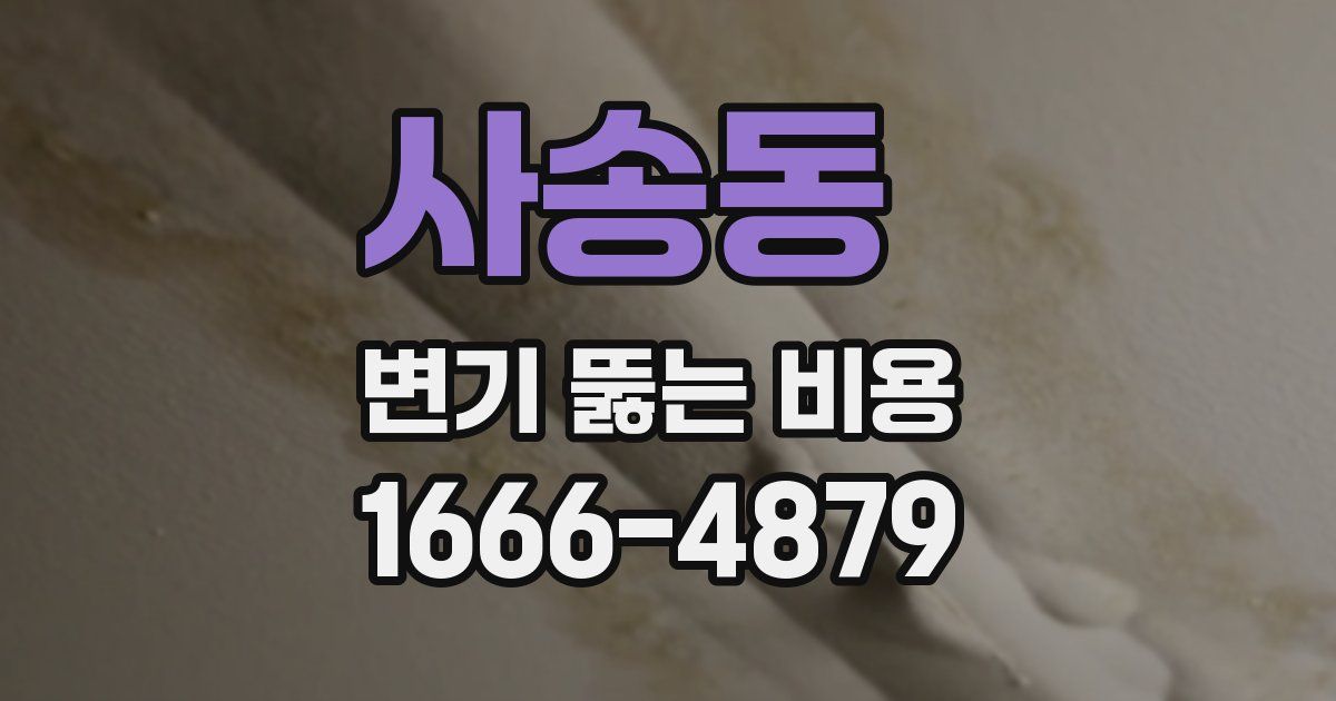 사송동 변기 뚫는 비용