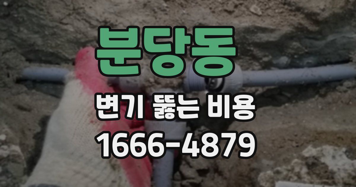 분당동 변기 뚫는 비용