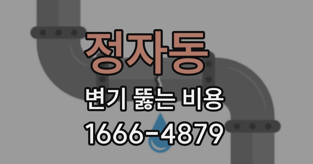 정자동 변기 뚫는 비용