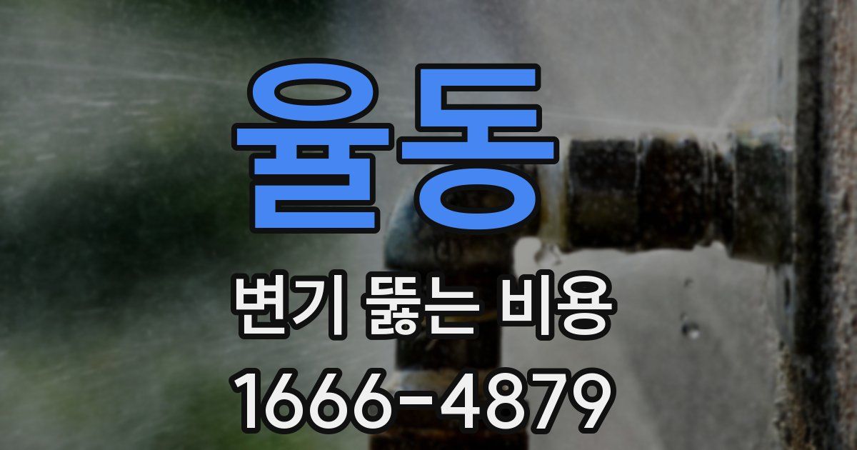 율동 변기 뚫는 비용