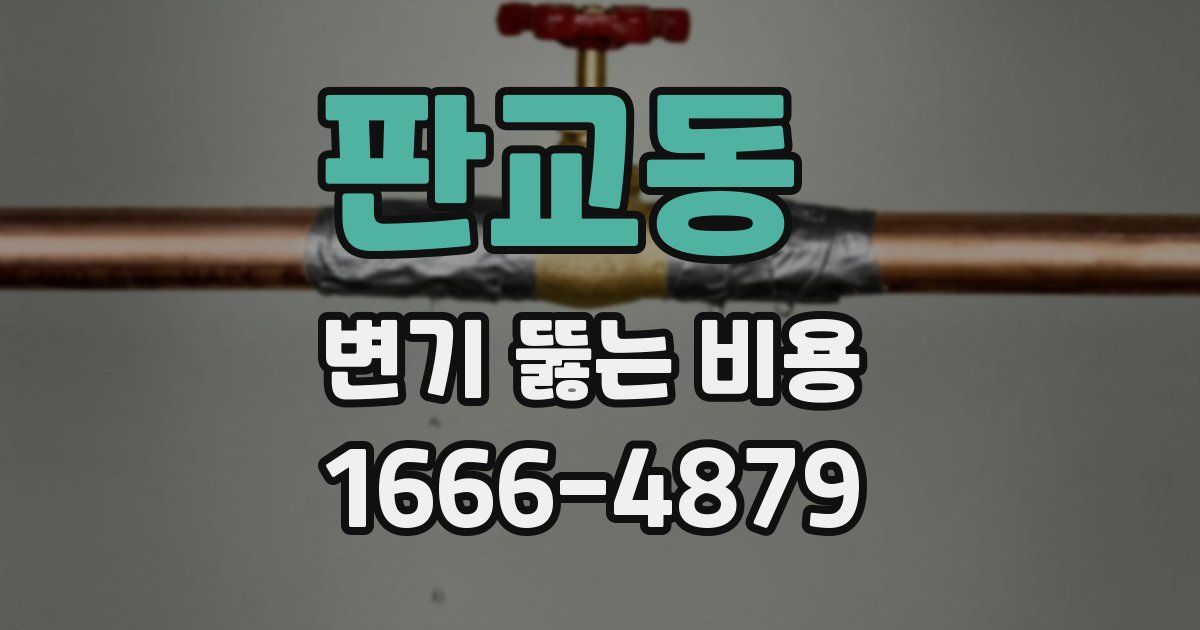 판교동 변기 뚫는 비용